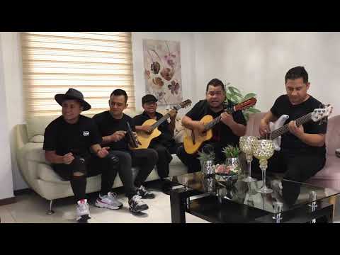 Los Hermanos Medina -  La Paloma Morena (Cover Bovea y sus Vallenatos)