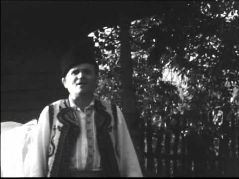 Dumitru Bălășoiu - Foae verde spic de grâu