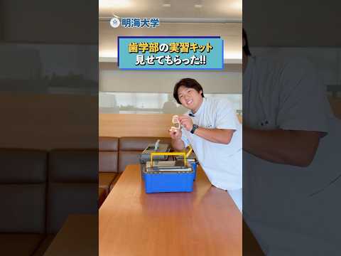 歯学部学生が教える！歯科用器具✨✨