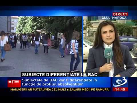 Bacalaureat Romana subiectul 2