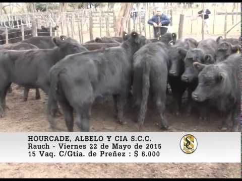 22-05-15 Venta de Vientres - Hourcade, Albelo y Cia S.C.C. - Rauch.