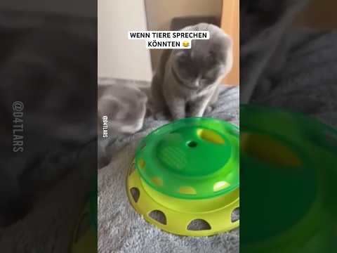 Wenn Tiere sprechen könnten #lustig #lol #funny #cat #memes #dog #pets #animals #tiere