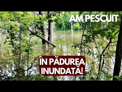 Am PESCUIT LA PLUTA pe UN LAC SUPERB in MIJLOCUL PADURII