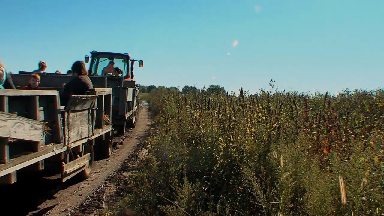 Spooktacular 10/1/2017