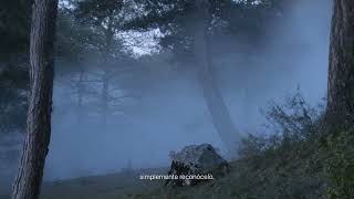 IMPAS mindfulness voz hombre WEB