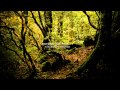 [MM] - Звуки Природы - Релаксация // Sounds of Nature - Relaxation ...