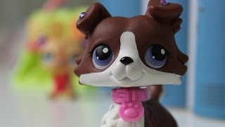 ★ LPS Double Trouble - Episode 3 (Liars) ★