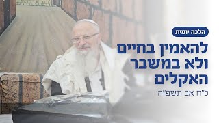 להאמין בחיים ולא במשבר האקלים | הרב שמואל אליהו | הלכה יומית | כ״ח אב תשפ״ה (הרב שמואל אליהו) - התמונה מוצגת ישירות מתוך אתר האינטרנט יוטיוב. זכויות היוצרים בתמונה שייכות ליוצרה. קישור קרדיט למקור התוכן נמצא בתוך דף הסרטון
