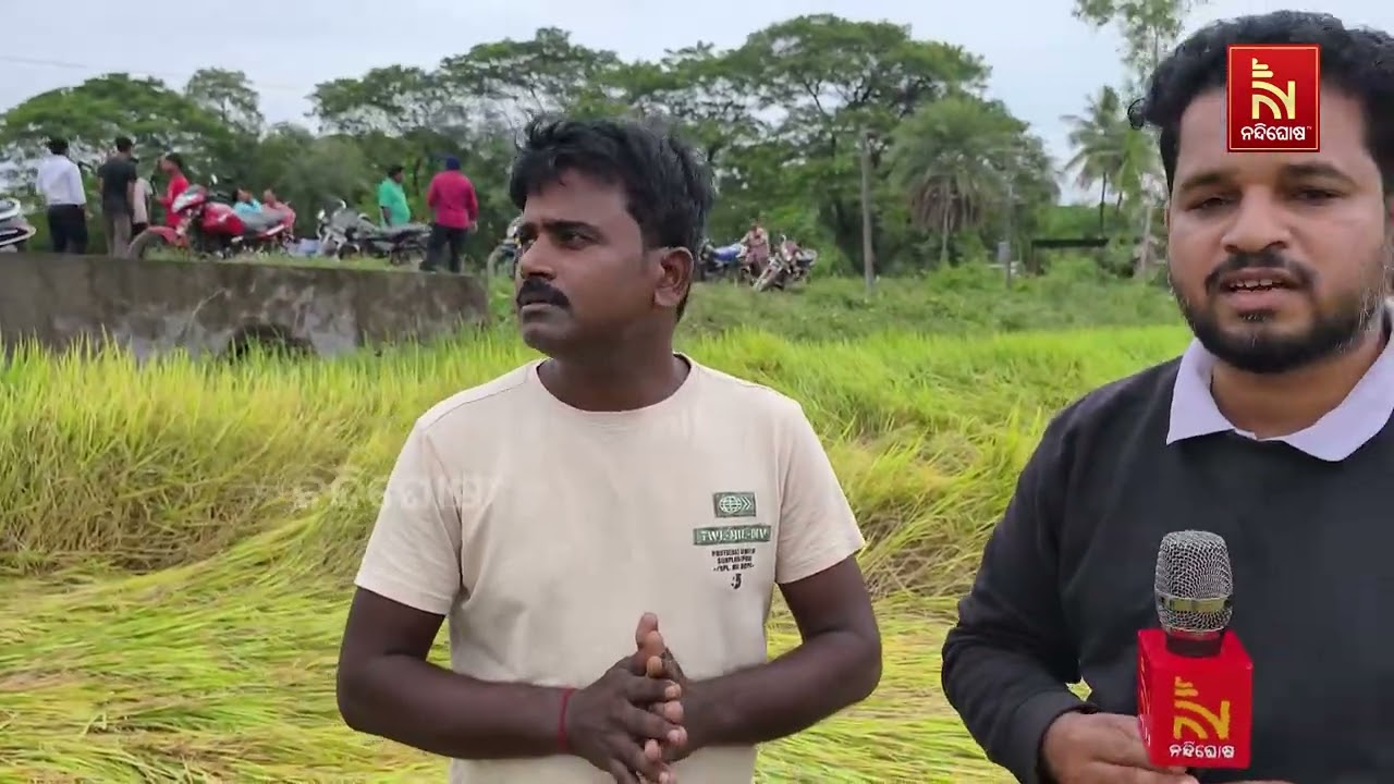 Cyclone Arnab Devastates Paddy Crops: Acres of Rice Fields Destroyed in Malkangiri District