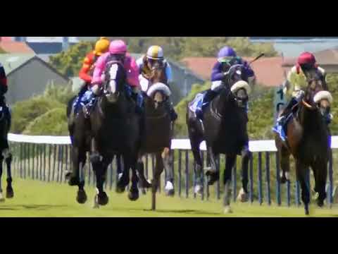 UNIVERSAL - 2022 POLITICIAN STAKES (Grade 3)