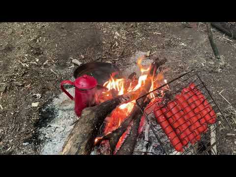 How to cook Saveloy propped by the fire