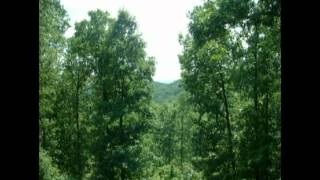 Its A Lovely Lovely World