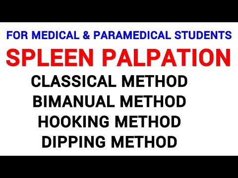 SPLEEN PALPATION | CLINICAL LAB | PHYSIOLOGY