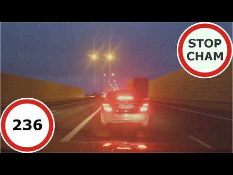 Stop Cham Ku przestrodze #236