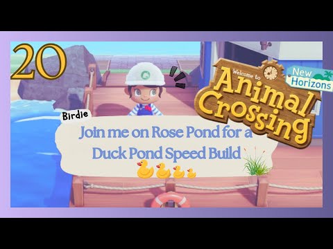 Animal Crossing New Horizons Gameplay | Day 20 - A Duck Pond Speed Build