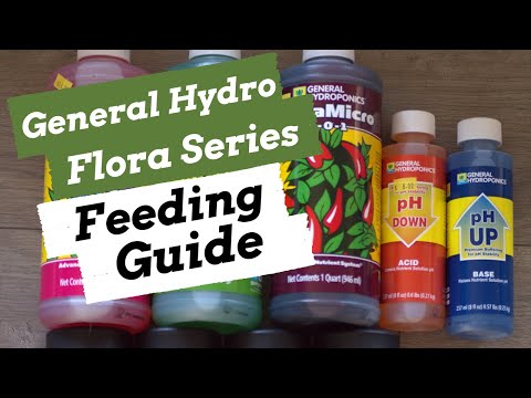 How to Feed General Hydro Flora Series! - Hydroponic Nutrient Solution Guide  [2021]