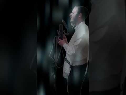 New Rising Badchen Meir Adler - מלוך נוסח וויזניץ Raw Studio Cover