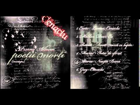 Swoad - Două minți ce luptă (2008)