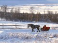 Winter Wonderland - What A Wonderful Christmas ...