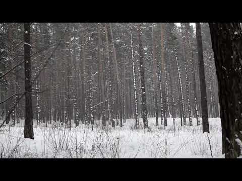 4K Winter Beauty of Forest Canadian Nature - Scenic Lakes and Waterfalls of Canada