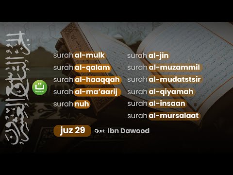 Tadabbur Juz 29 Lengkap dengan Terjemah Full Merdu oleh Ibn Dawood