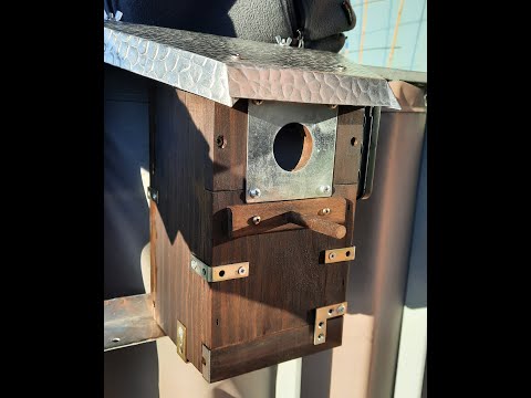 Nistkasten 1 - Ahrensburg