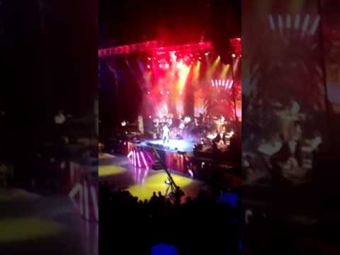 שמילי אונגר בארנה אמת ואמונה