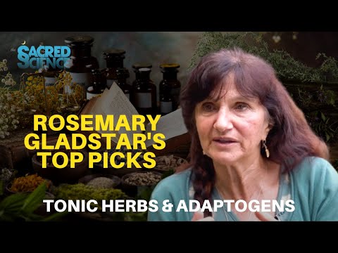 Rosemary Gladstar's Favorite Tonic Herbs and Everyday Adaptogens | Plant Medicine Top Picks