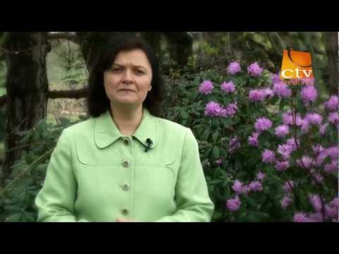 Poezia VIATA de Costache Ioanid