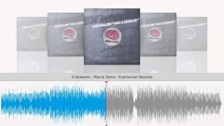D.Kowalski - Max & Denis - Expmental Records