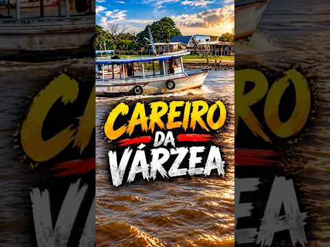 CAREIRO  da  VÁRZEA amazônia