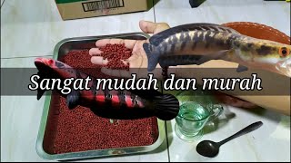 Download lagu CARA MEMBUAT PELET IKAN CHANNA KELAS PREMIUM || pelet jahat mp3