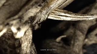 Leave Me Alone Music Video