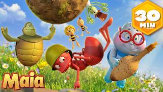 Os melhores episódios desportivos da Maia 🏏 Abelha Maia 🐝  Episódios completos | Desenhos animados