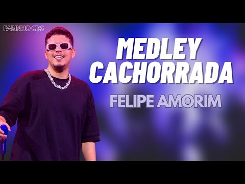 MEDLEY CACHORRADA - FELIPE AMORIM