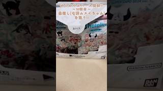 クロニチハ!ホロのウエハース開封!!〜10個目〜 #vtuber #ホロライブ #ホロライブウエハース #hololive #hololiveenglish #オーロクロニー #ourokronii