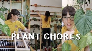 PLANT CHORES | my LAST plant haul, watering, and trellising!
