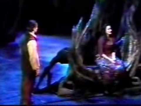 Into The Woods (2002 Revival) [Please Read Description]