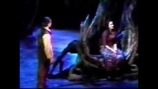 Into The Woods (2002 Revival) [Please Read Description]