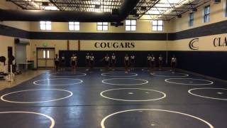 Mini paws 2016 with counts