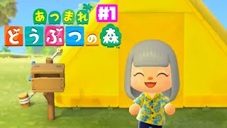 すがの無人島日記【あつまれ どうぶつの森】#1