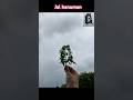 Hanuman Dada Drawing Using Leaf ️Lord Hanuman Ji Shorts Hanuman Creative Leafart Leafdrawing