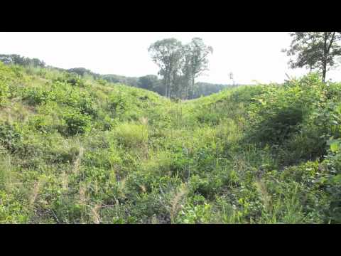 Second Manassas - Porters Attack