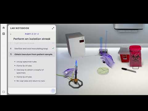 Pearson Interactive Labs | Streak for Isolation