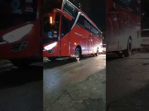 BUS PARIWISATA DCR260