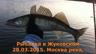 Рыбалка на ждановке р москва