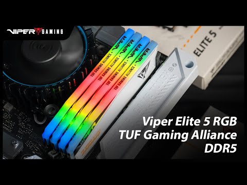 Patriot Viper ELITE 5 TUF Alliance RGB DDR5 32GB 6000MHz Kit of 2x16GB PVER532G60C36KT