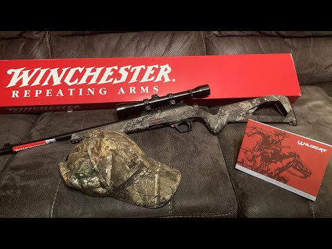 Winchester Wildcat 22 Rifle Review- Budget Friendly Blaster!