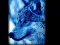 QUE VIENE EL LOBO