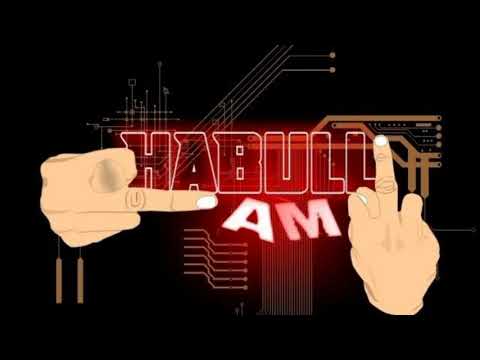 CHABULLZ FAMZ - PACAR NGABISIN UANG FT BDJ (AUDIO)